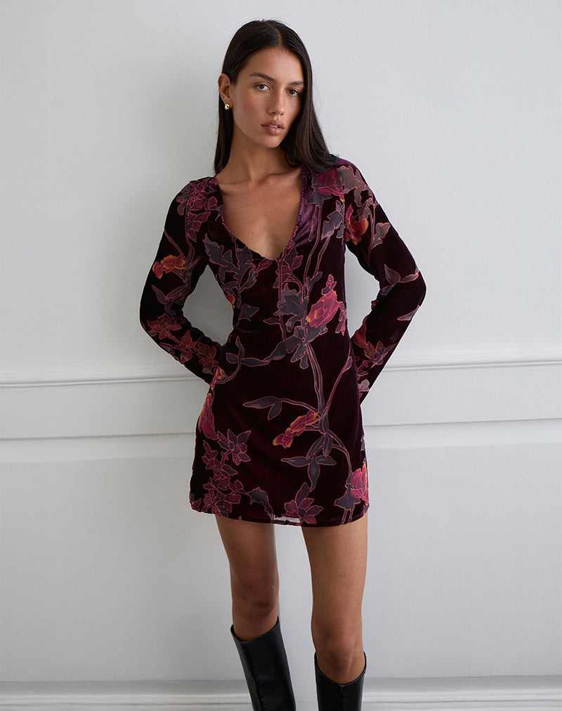 Image of Alitra Mini Dress in Floral Devore Burgundy