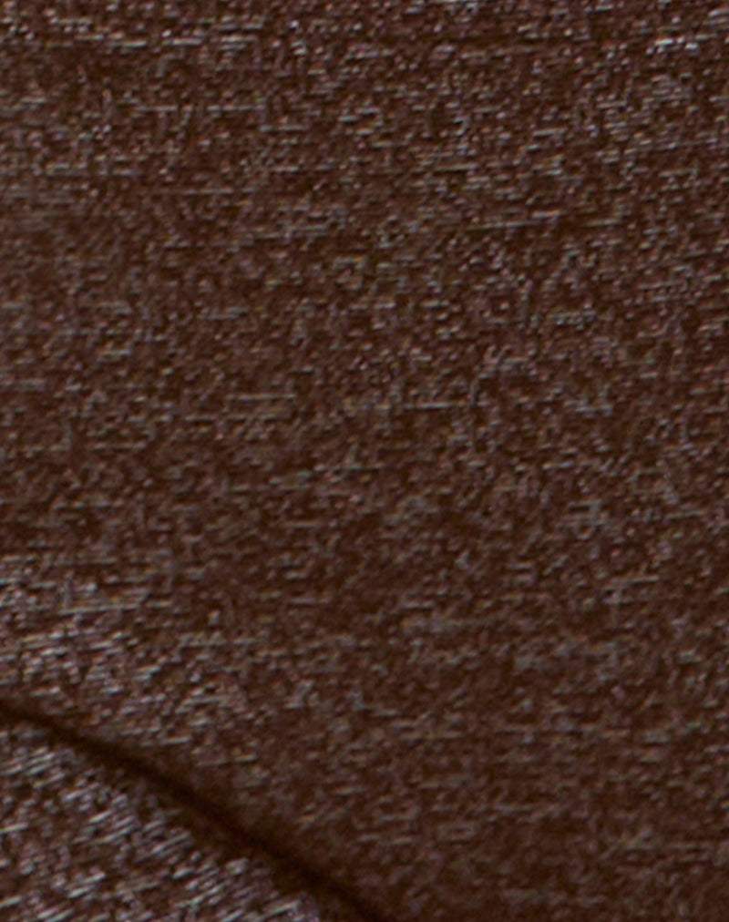 Image of Avi Swim Short in Shimmer Brown with Side Spiral