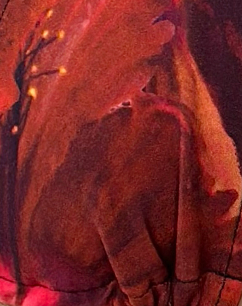 Image of Cerry Bikini Top in Red Hibiscus
