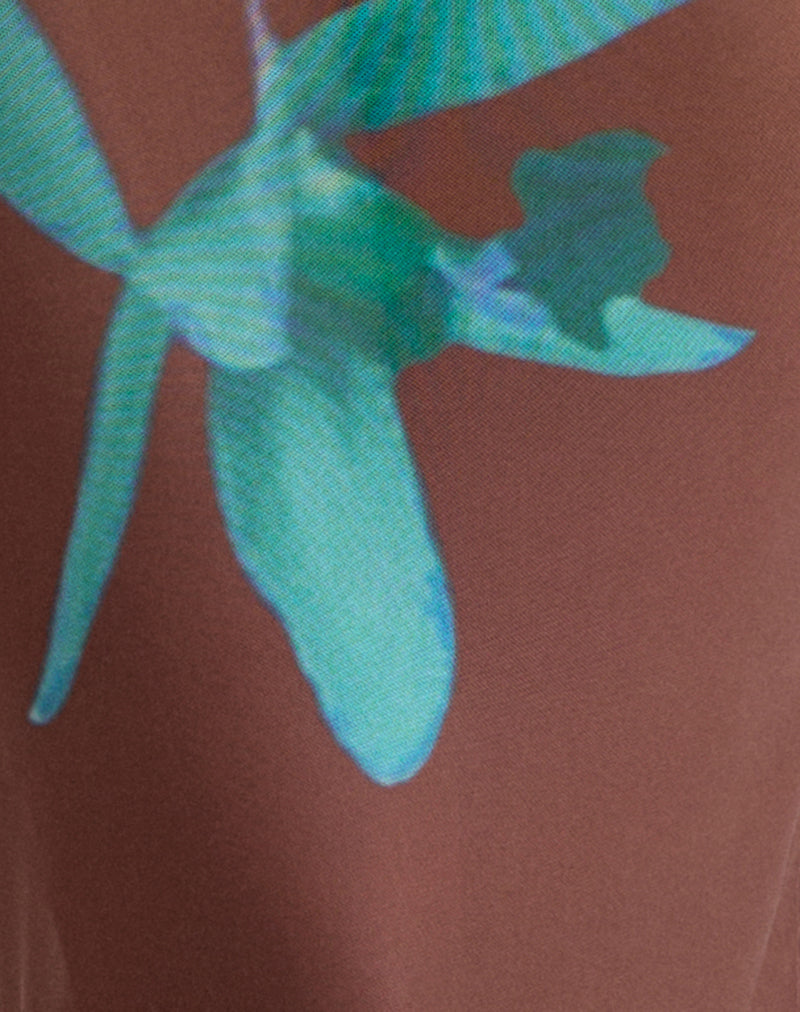 Image of Fay Midi Dress in Brown with Blue Desert Rose