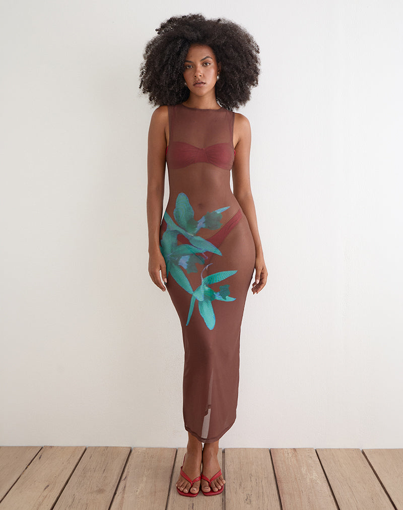Image of Fay Midi Dress in Brown with Blue Desert Rose