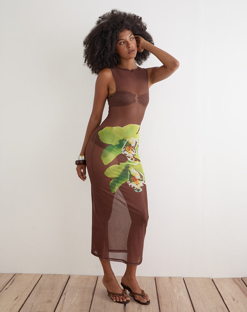 Image of Fay Midi Dress in Brown with Green Dendrobium Flower