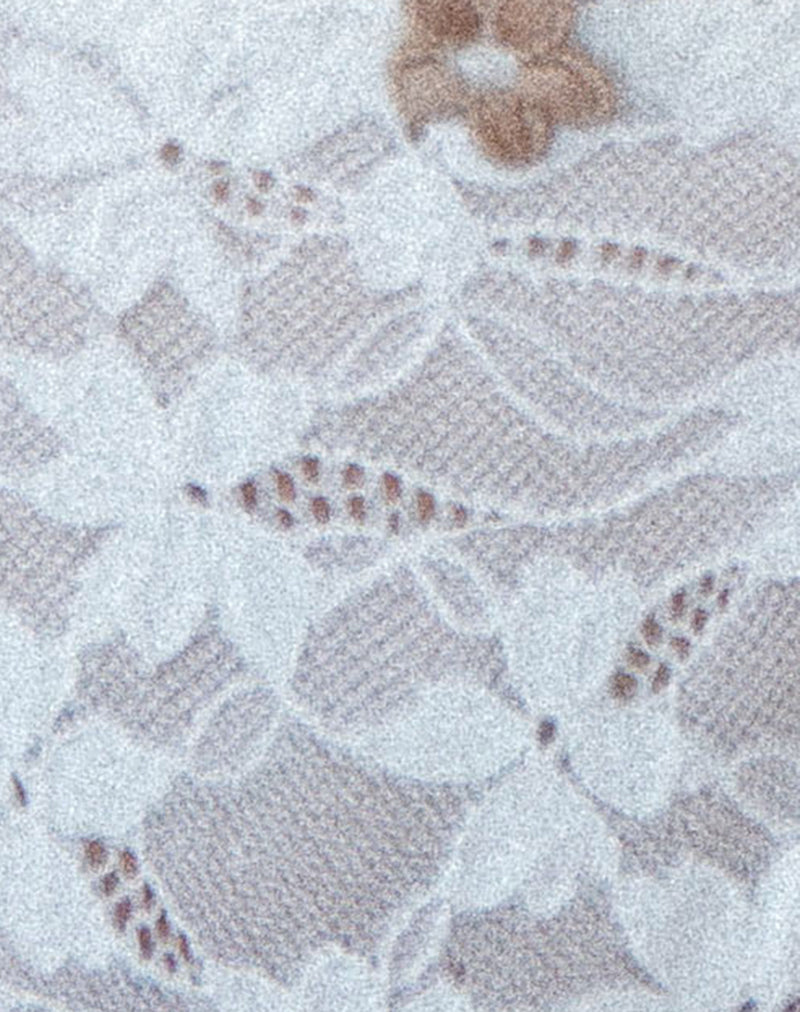Image of Sura Thong in Compact Floral Lace Ivory