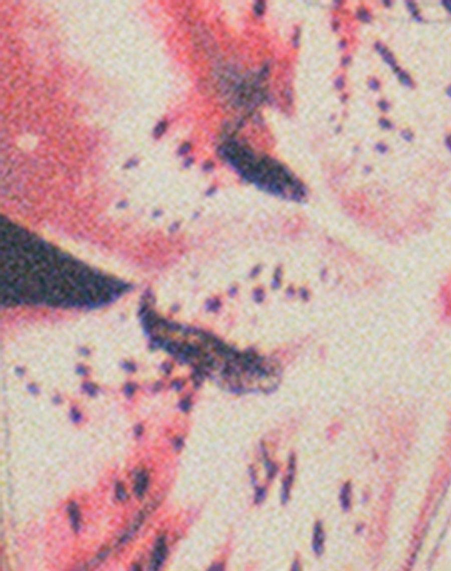 Image of Farida Bikini Bottom in Lily Bloom
