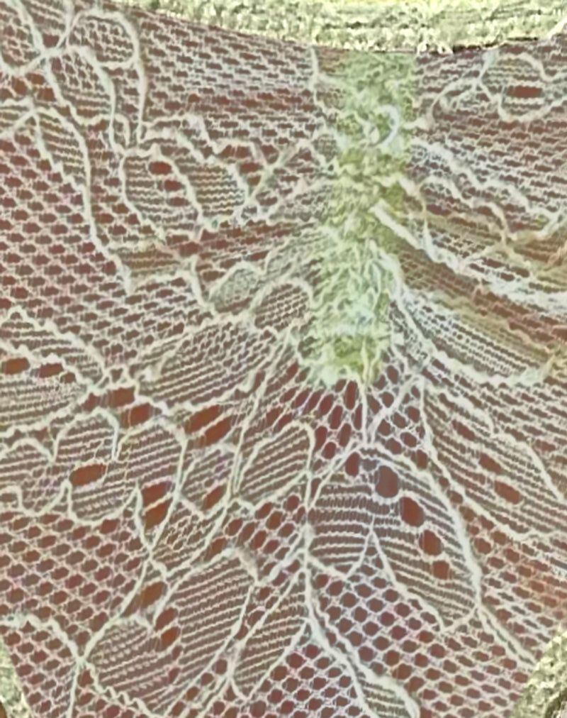 Image of Kukila Brazilian Knicker in Lace Pastel Green