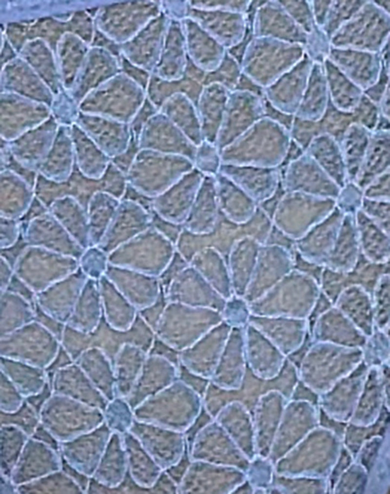 Image of Sarpa Knicker in Floral Lace Blue