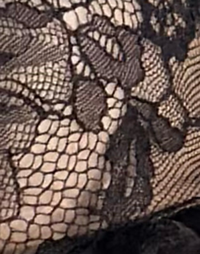 Image of Najya Bra in Black Lace