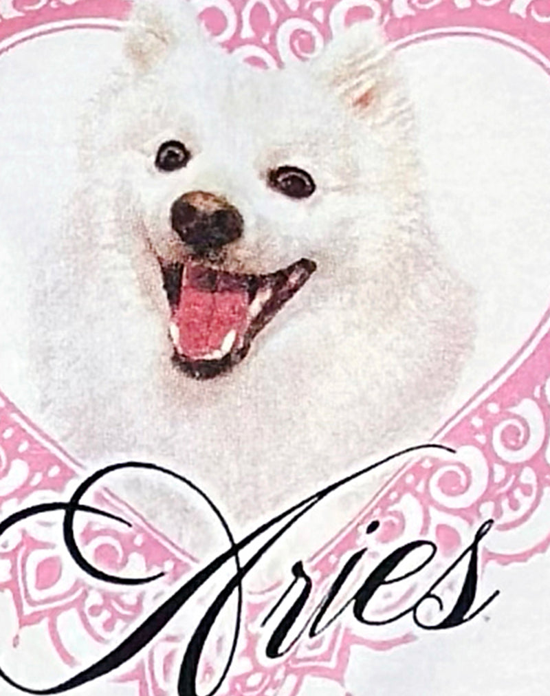 Image of Oversize Basic Tee in White with Aries Motel Pet Print