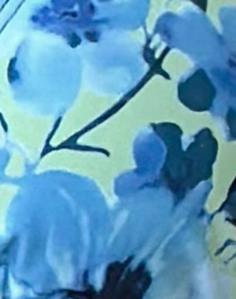 Image of Farida Bikini Bottom in Blue Flower