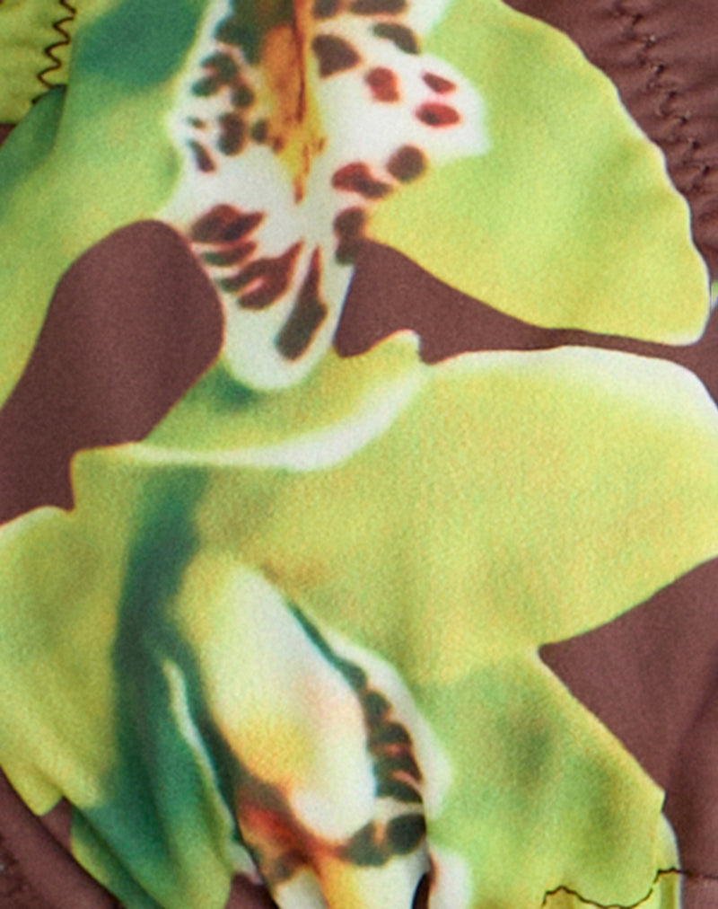 Image of Pumyla Bikini Top in Brown with Green Dendrobium Flower