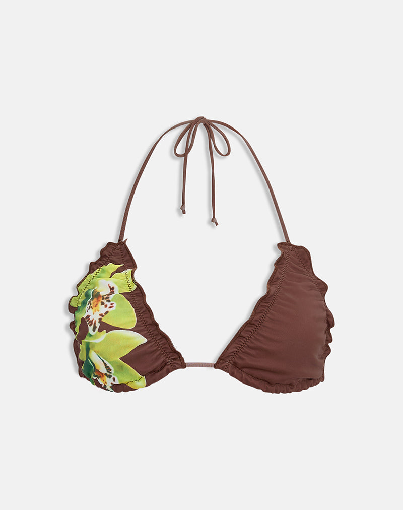 Image of Pumyla Bikini Top in Brown with Green Dendrobium Flower