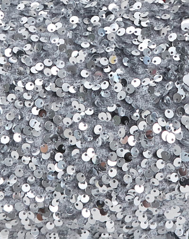 Image of Sequin Hobo Bag in Silver