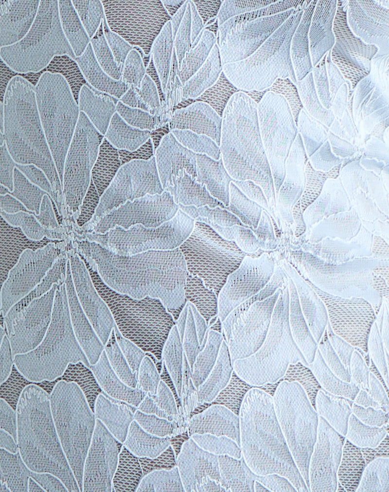 Image of Titania Collar Mini Dress in Zinnia Lace Blue