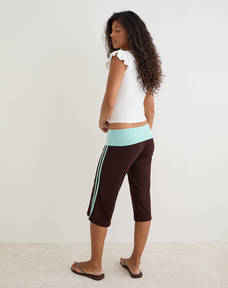 Image of Walter Capri Trouser in Bitter Chocolate and Aqua Combination