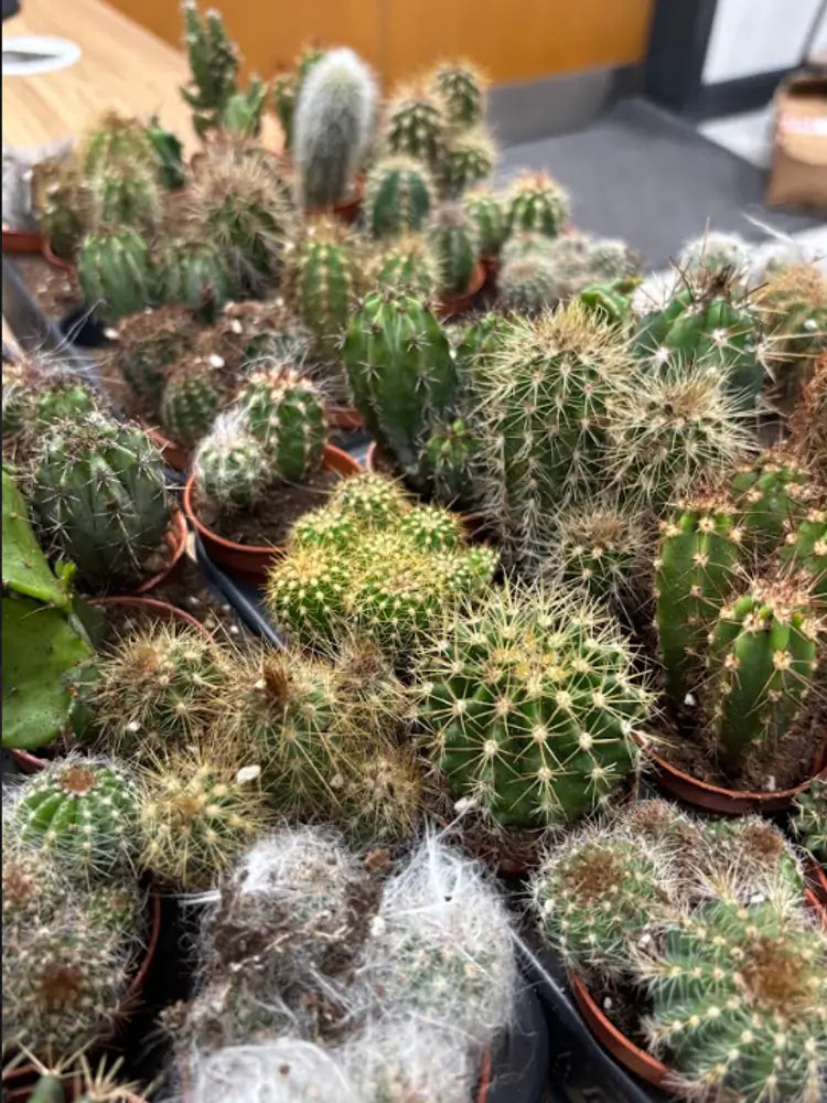 Garden Club